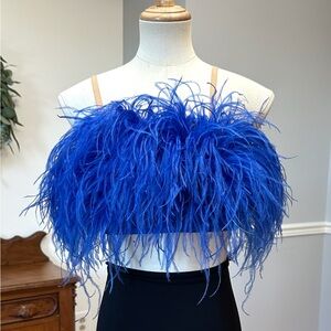 Vibrant Blue Feather Crop Top AXS